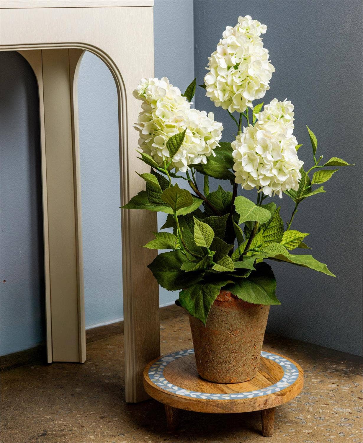 Potted White Hydrangea