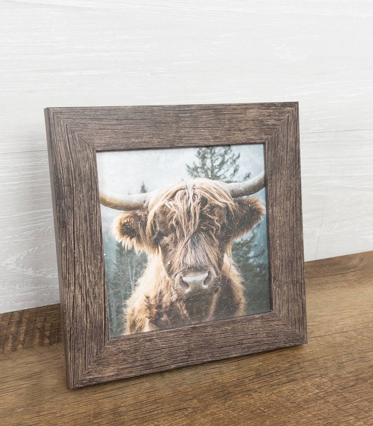 Highland Cow Bovine Cattle  14x14"