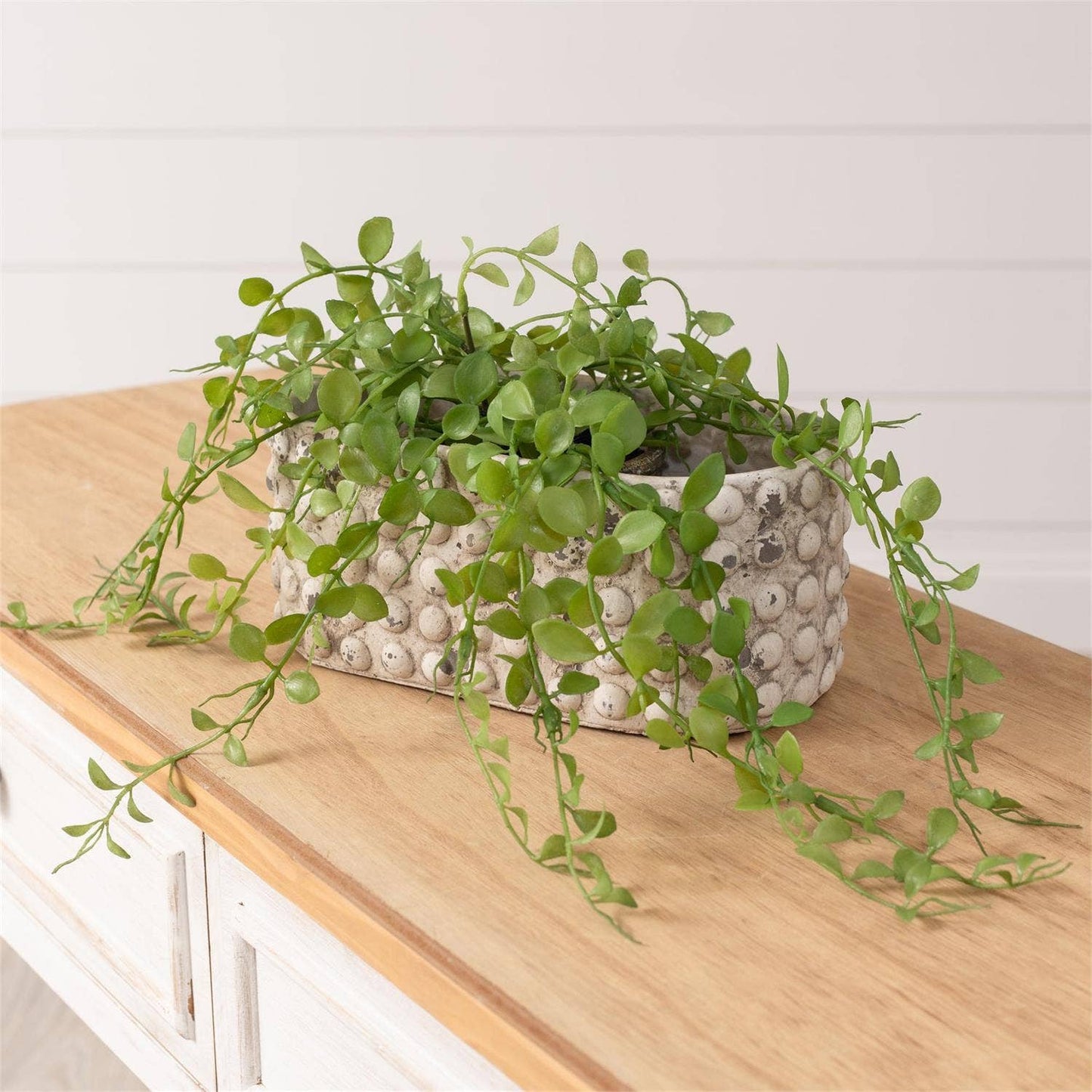 Oblong Distressed Dotted Planter