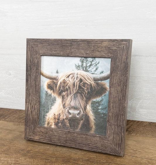 Highland Cow Bovine Cattle  14x14"