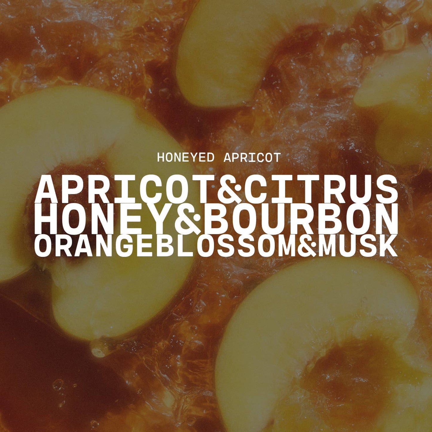 5.5 oz Wax Melts: Honeyed Apricot